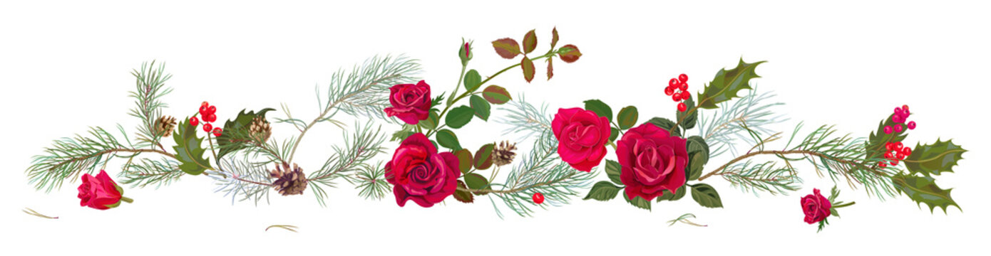 Panoramic view with red roses, pine branches, cones, holly berry. Horizontal border with Christmas tree on white background. Decorative botanical illustration in watercolor style for design, vector
