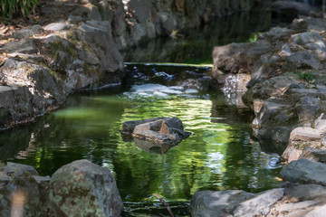 Naklejka na ściany i meble River,rocks,vichy,light, green, water,france