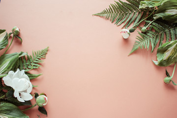 Peony flower and forest leaf on coral background. Flat lay, top view