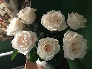 beautuful bouquet of white roses