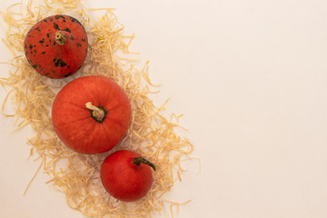 Orange pumpkins on a straw. Light background, there is a place for text.