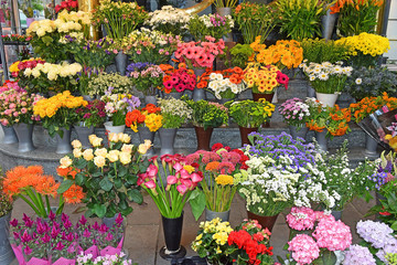 Fototapeta na wymiar flower shop on the street in Vienna