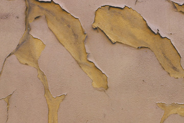 The surface of plaster wall  © Karyna