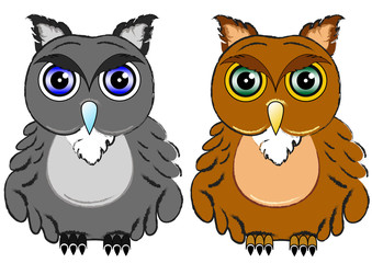Pair of owls birds symbols of wisdom in vector format