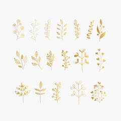 Collection of Gold Hand Drawn Floral Elements. Vector Frames and  Leaves, Flowers and Herbs