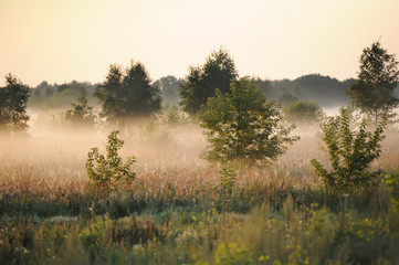 Fototapeta na wymiar Sunshine on the morning mist.