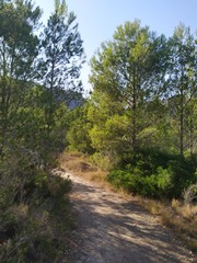Fototapeta premium The natural park of the desert of las palmas in Castellon