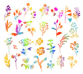 Set of multi-colored silhouettes of flowers. Vector illustration