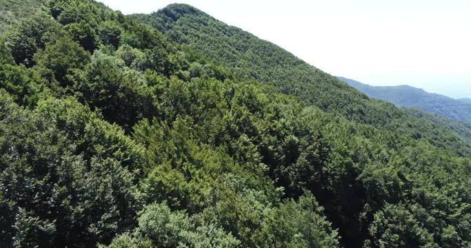 Hill with trees from above on a plateau	