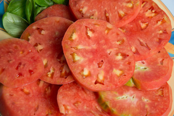 Tomaten  - Strohhalme