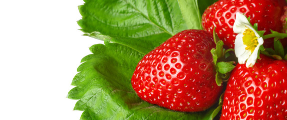 Beautiful and delicate strawberry with flower and green leaves closeup. Macro image of fresh strawberry with white flower on white background
