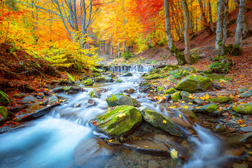 Autumn landscape -  river waterfall in colorful autumn forest park with yellow red  leaves