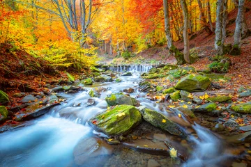 Foto auf Acrylglas Landschaften Herbstlandschaft - Flusswasserfall im bunten Herbstwaldpark mit gelben roten Blättern