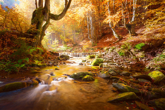 Amazing Autumn Landscape. Small mountains river in yellow trees forest, colors of fall nature
