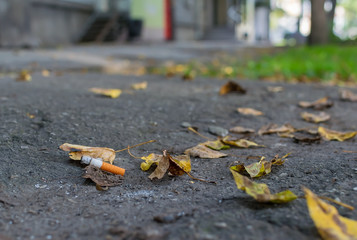 Fototapeta na wymiar cigarette butt lies on the asphalt path on the fallen autumn leaves