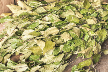Green birch broom on a bench in the bath