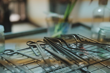 plier knife scissor for plant tissue culture