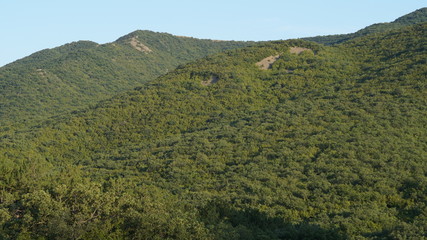 low mountains covered with deciduous green forest against the blue sky on a Sunny summer day