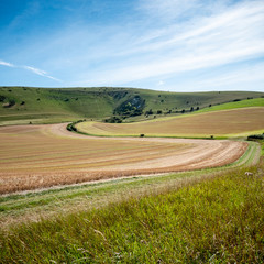 Fototapeta na wymiar South Downs, England. A view over the rural countryside with the old landmark hill figure, The Long Man of Wilmington visible on the distant slopes.