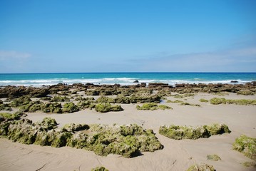 Fototapeta na wymiar Playa de Barbate, Cádiz