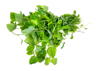 Fototapeta premium bundle of lemon balm plant cutout