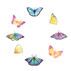 Set of beautiful butterfly on white background, watercolor hand painted 