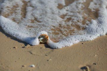 beach, sand, sea, water, footprint, ocean