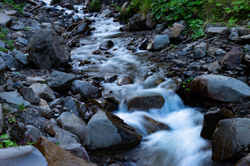 Stream in the forest