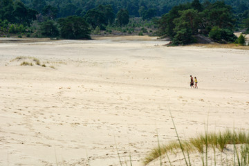 Two people in the distance walking across a large sandy open area, nature reserve Hoge Veluwe, in the province of Gelderland, the Netherlands