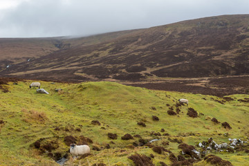 Fototapeta na wymiar mountains at Scottish Highlands