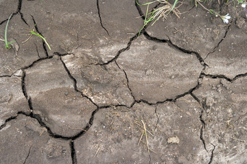 Obraz premium cracked earth texture