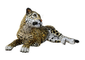 3D Rendering Big Cat Jaguar on White