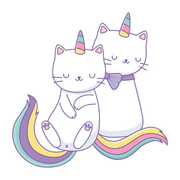 Unicorn cat cartoon couple vector design