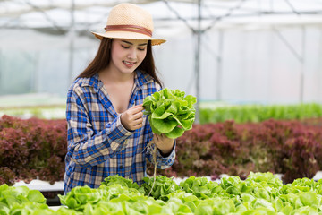 Young beautiful Asian woman holding hydroponic vegetable from her farm.