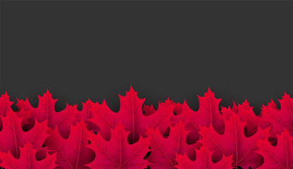 Autumn background with crimson maple leaves.