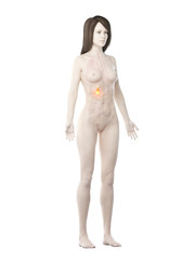 Fototapeta premium 3d rendered medically accurate illustration of a womans gallbladder cancer