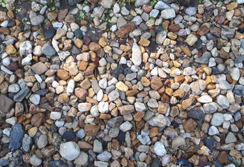 mix color of small pebble gravel texture or background