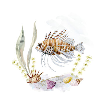 Sea Lion clip art preview