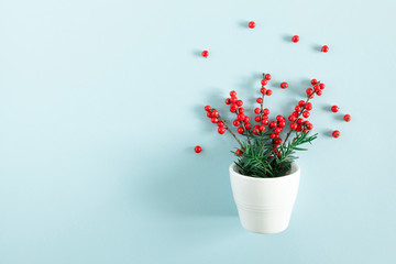 Christmas modern composition. Red berries on pastel blue background. Christmas, New Year, winter concept. Flat lay, top view, copy space