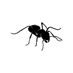 Ant Vector Design Logo. Ant Illustration With Various Shapes and Different movements
