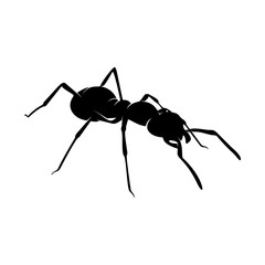 Ant Vector Design Logo. Ant Illustration With Various Shapes and Different movements