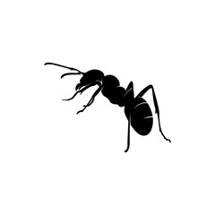 Ant Vector Design Logo. Ant Illustration With Various Shapes and Different movements