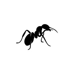 Ant Vector Design Logo. Ant Illustration With Various Shapes and Different movements