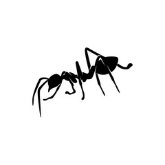 Ant Vector Design Logo. Ant Illustration With Various Shapes and Different movements