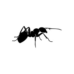 Ant Vector Design Logo. Ant Illustration With Various Shapes and Different movements