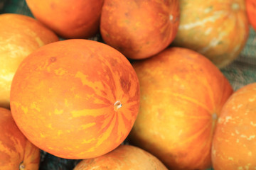 Golden muskmelon sold at local farm market.