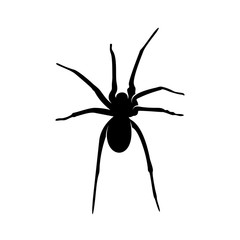 Spiders Vector Design Logo. Spiders Illustration With Various Shapes and Different movements