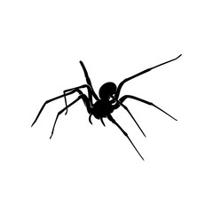 Spiders Vector Design Logo. Spiders Illustration With Various Shapes and Different movements