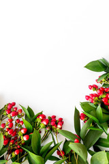 green herbs and red berries for summer design on white background top view mock up