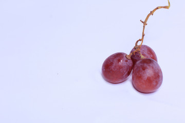 fresh purple grapes put down on white